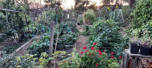 1495 Don's Road, Boulder Creek, CA 95006