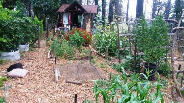 1495 Don's Road, Boulder Creek, CA 95006