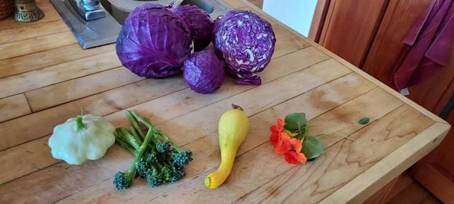 1495 Don's Road, Boulder Creek, CA 95006