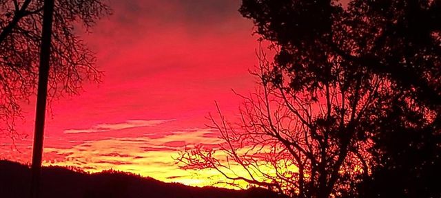 1495 Don's Road, Boulder Creek, CA 95006