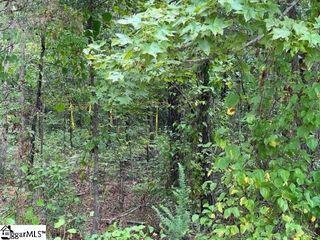 00 Chandler Road, Pelzer, SC 29669
