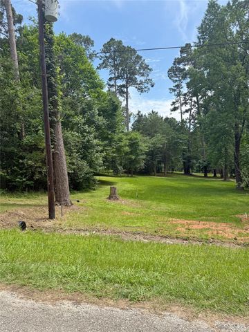 192 Sam Houston Loop, Point Blank, TX 77364