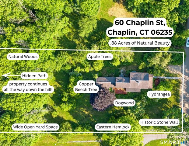 60 Chaplin Street, Chaplin, CT 06235