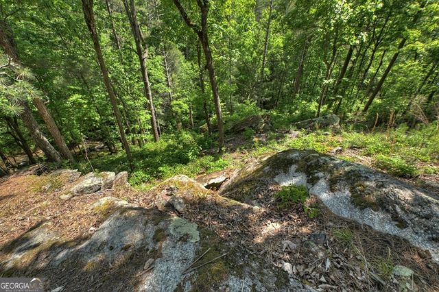 LOT 90R Mountain Creek Hollow Drive, Talking Rock, GA 30175