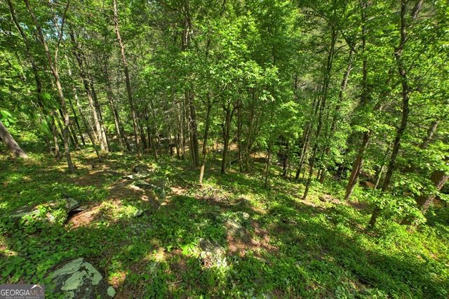 LOT 90R Mountain Creek Hollow Drive, Talking Rock, GA 30175