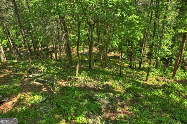 LOT 90R Mountain Creek Hollow Drive, Talking Rock, GA 30175