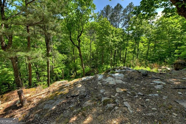 LOT 90R Mountain Creek Hollow Drive, Talking Rock, GA 30175