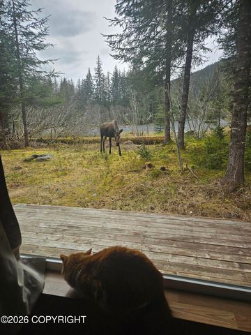 14925 Que Sera Drive, Seward, AK 99664