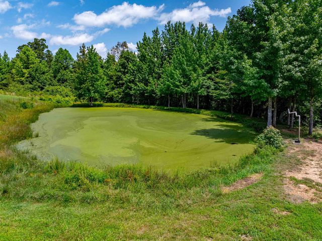 7099 Hwy 9, Mountain View, AR 72560