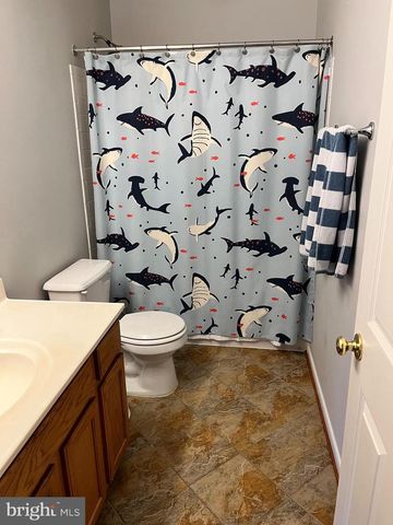 20611 COPPERSMITH DR, Ashburn, VA 20147