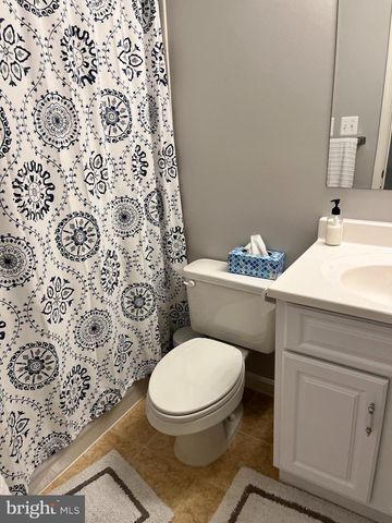 20611 COPPERSMITH DR, Ashburn, VA 20147