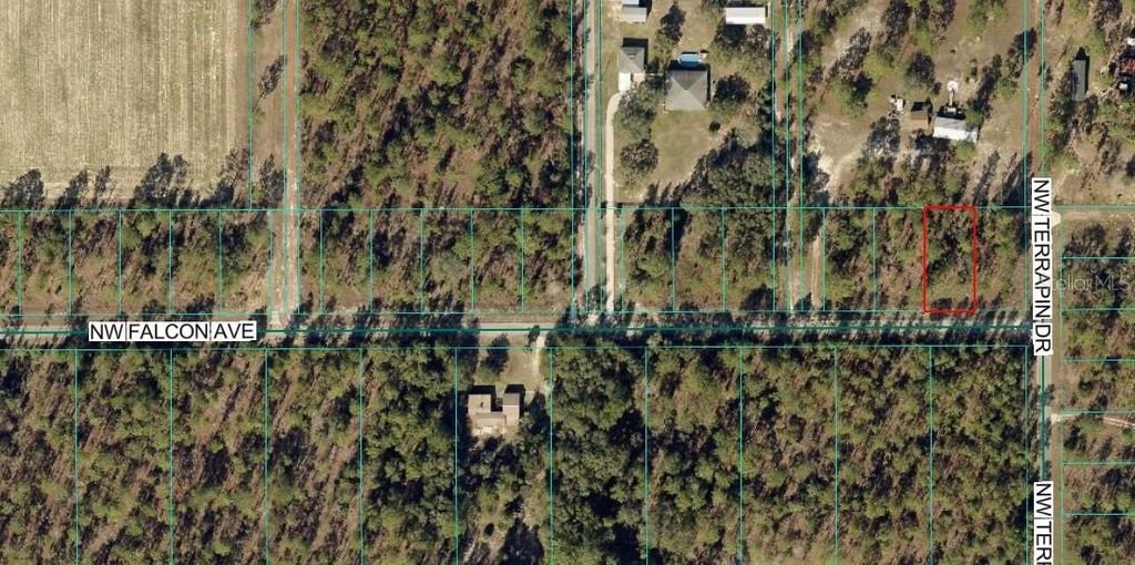 Image 1 of property listing at TBD NW FALCON AVE, LOT 33, Dunnellon, FL 34431
