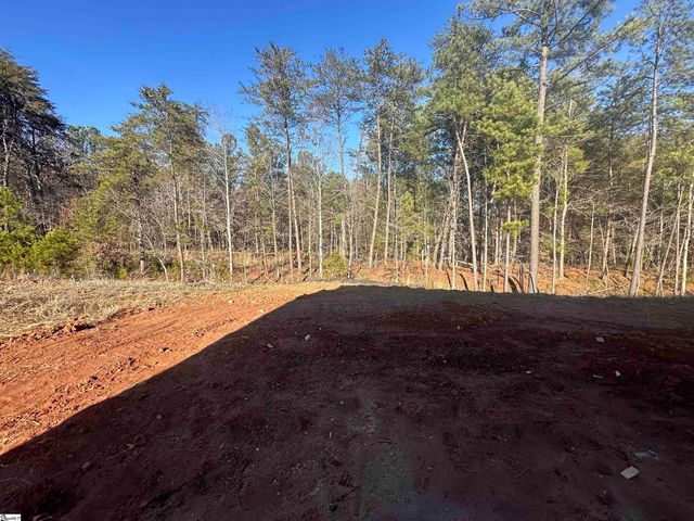 343 E Pyrenees Drive Lot 136, Wellford, SC 29385