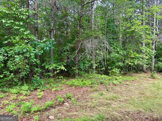 125 Patriot View Drive, Dahlonega, GA 30533
