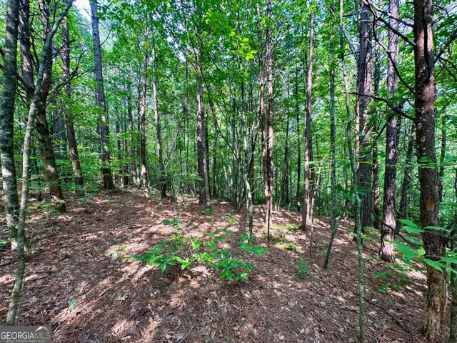 125 Patriot View Drive, Dahlonega, GA 30533