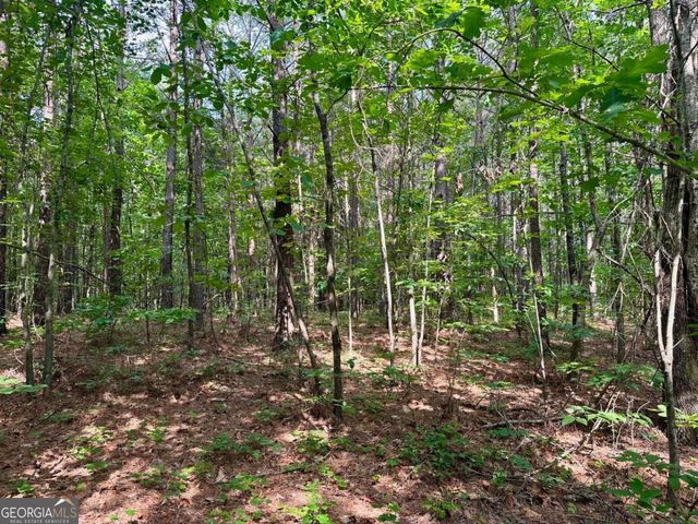 125 Patriot View Drive, Dahlonega, GA 30533