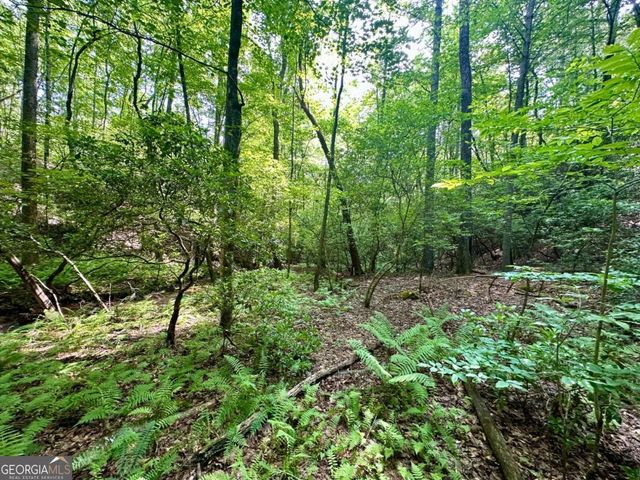 125 Patriot View Drive, Dahlonega, GA 30533