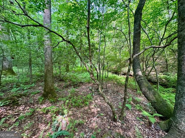 125 Patriot View Drive, Dahlonega, GA 30533