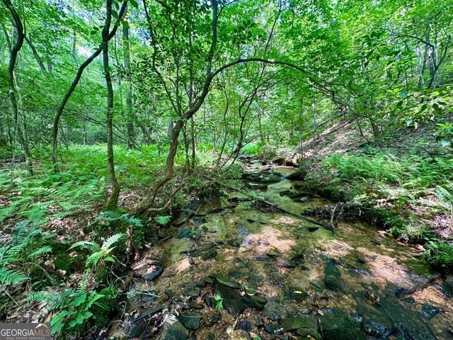 125 Patriot View Drive, Dahlonega, GA 30533