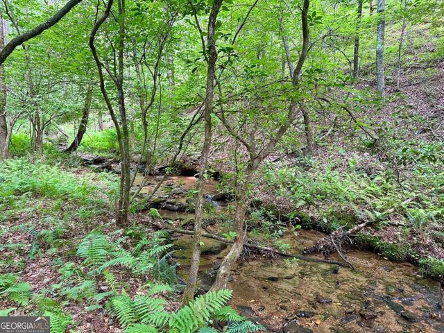 125 Patriot View Drive, Dahlonega, GA 30533