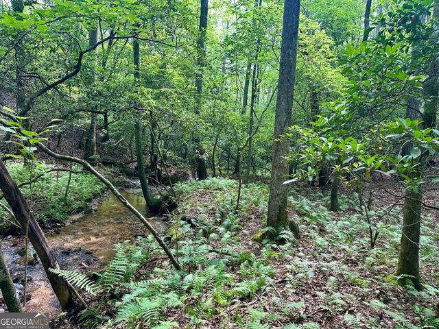 125 Patriot View Drive, Dahlonega, GA 30533