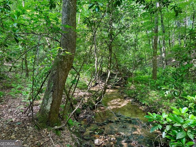 125 Patriot View Drive, Dahlonega, GA 30533