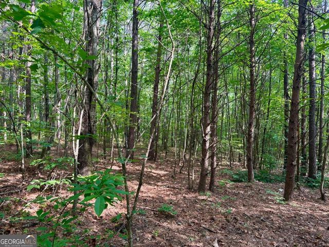 125 Patriot View Drive, Dahlonega, GA 30533