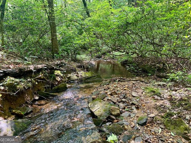 125 Patriot View Drive, Dahlonega, GA 30533