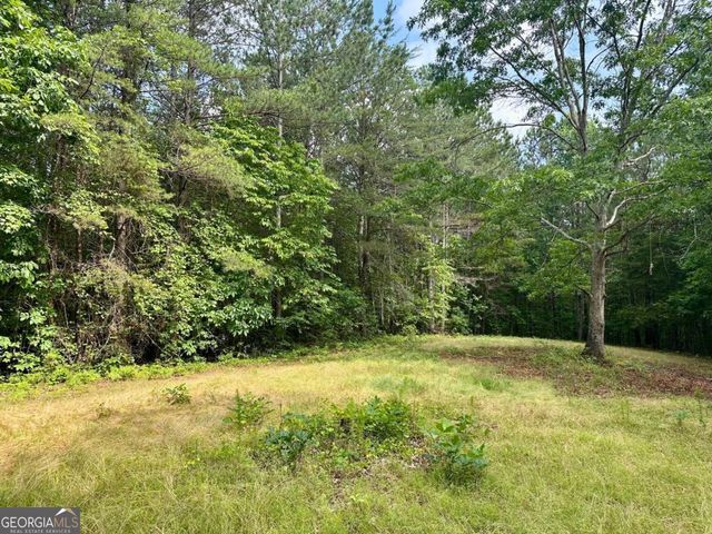 125 Patriot View Drive, Dahlonega, GA 30533