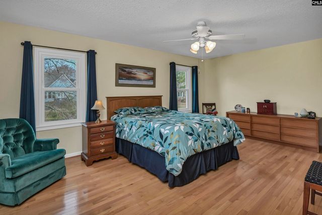 120 Spring Blossom Lane, Chapin, SC 29036