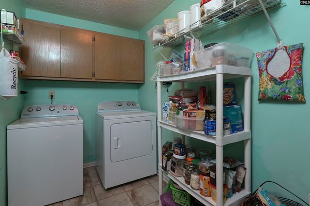 120 Spring Blossom Lane, Chapin, SC 29036