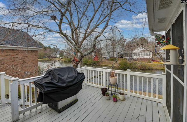 120 Spring Blossom Lane, Chapin, SC 29036