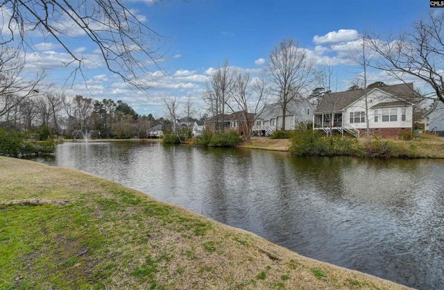 120 Spring Blossom Lane, Chapin, SC 29036