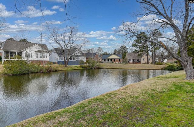 120 Spring Blossom Lane, Chapin, SC 29036