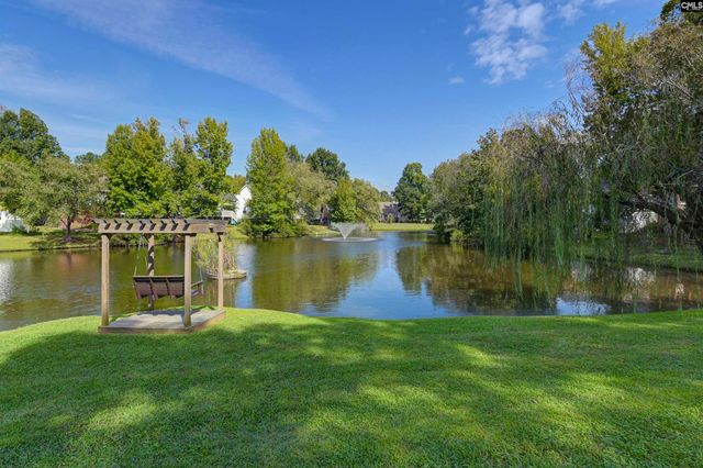 120 Spring Blossom Lane, Chapin, SC 29036