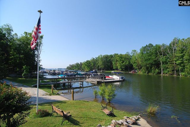 120 Spring Blossom Lane, Chapin, SC 29036