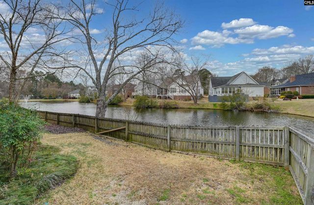 120 Spring Blossom Lane, Chapin, SC 29036
