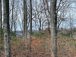 Lot 84 Stillwater, Russell Springs, KY 42642