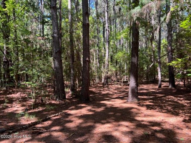 955 Grandview Drive, Hampstead, NC 28443