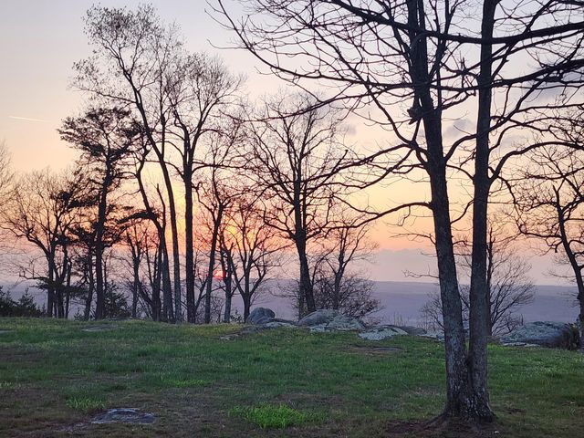 23237 County Road 89, Mentone, AL 35984