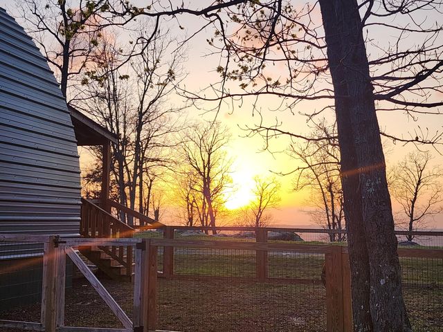 23237 County Road 89, Mentone, AL 35984