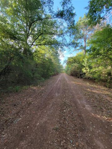 TBD Grey Wolf Dr, Hempstead, TX 77445