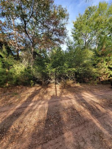 TBD Grey Wolf Dr, Hempstead, TX 77445