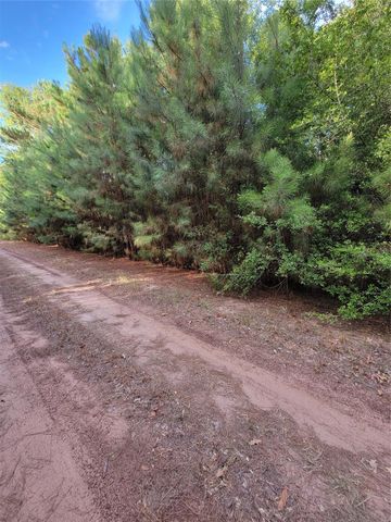 TBD Grey Wolf Dr, Hempstead, TX 77445