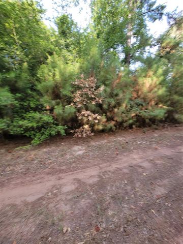 TBD Grey Wolf Dr, Hempstead, TX 77445