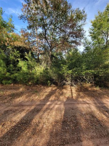 TBD Grey Wolf Dr, Hempstead, TX 77445