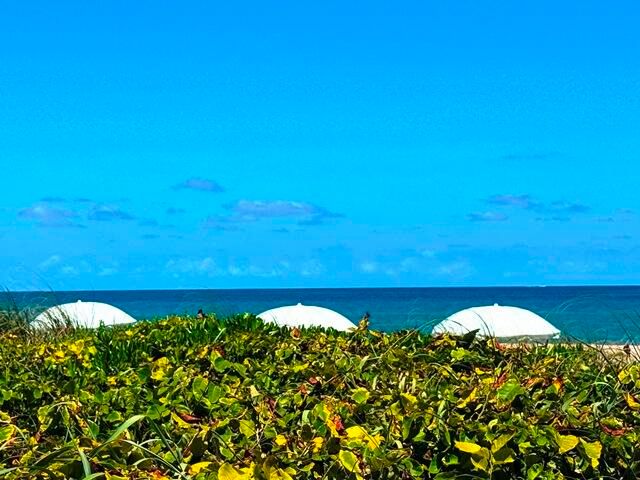 2560 S Ocean Boulevard 603, Palm Beach, FL 33480