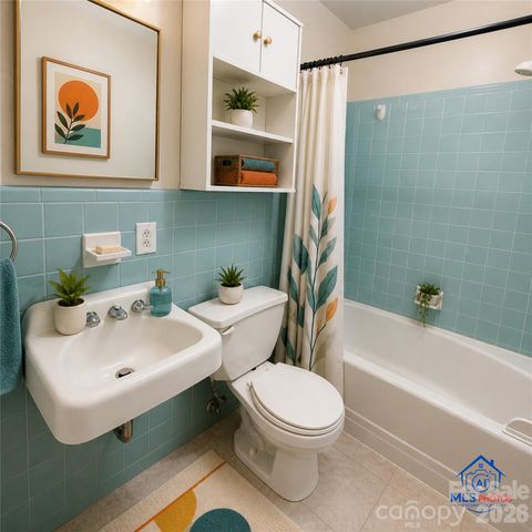 406 E L Street, Newton, NC 28658