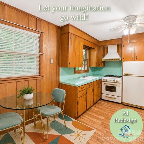 406 E L Street, Newton, NC 28658
