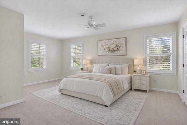 6587 ZOYSIA CT, Alexandria, VA 22312